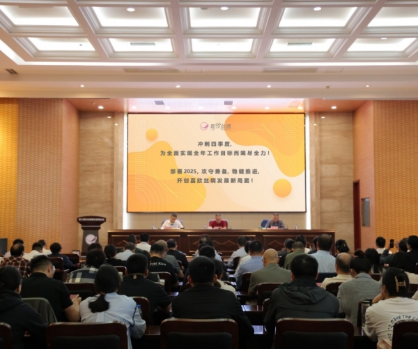 威尼斯8040丝绸2024年三季度经济形势剖析会顺遂召开