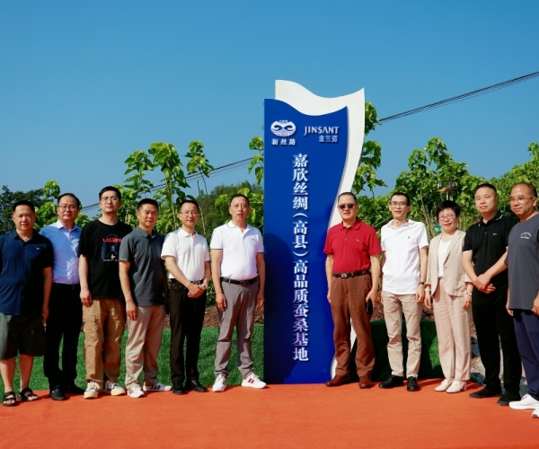 威尼斯8040丝绸（高县）高品质蚕；；；卣浇遗！！！